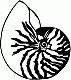 Avatar von Ringel
