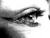 Avatar von PurpleLily