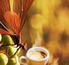 Avatar von Kaffeetrinker