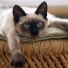 Avatar von Marie111