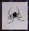 Avatar von Sternfänger