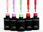 neonnail beautyjunkies test