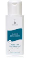 shampoo kopfhaut